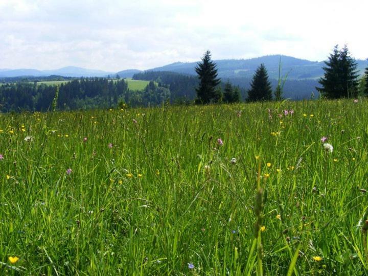 Chata Nad Briezkami Rakova Экстерьер фото